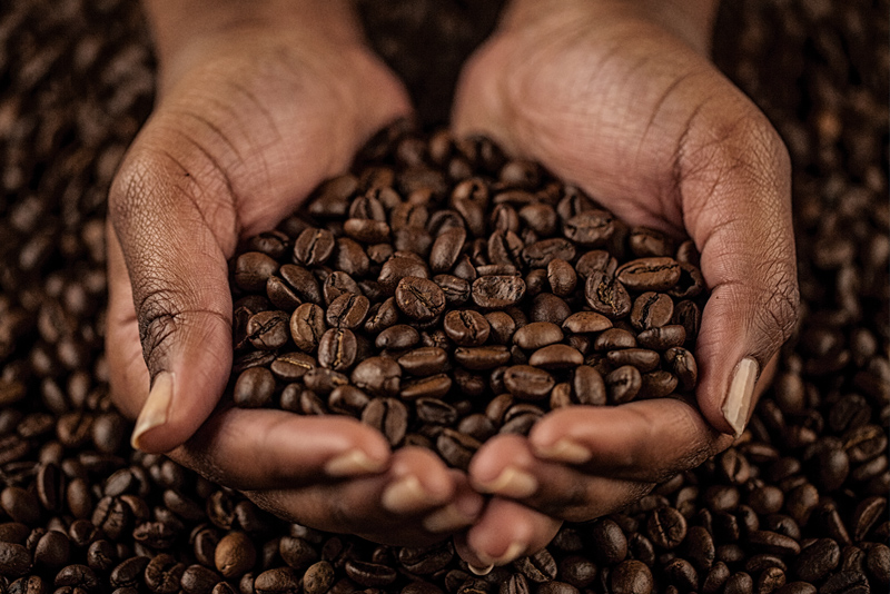 História kávových zŕn